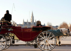 Romantic Vienna Combo: Vienna Card, Horse and Carriage Tour, Belvedere Palace and Candlelight Dinner 