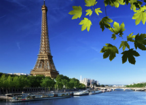 Paris City Tour with Seine River Cruise and Eiffel Tower Lunch