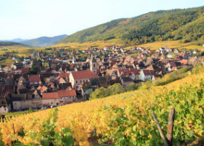 Alsace Wine Route: Tasting Tour from Strasbourg