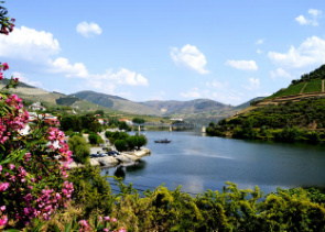 Douro Valley Small-Group Tour with Wine Tasting, Portuguese Lunch and Optional River Cruise