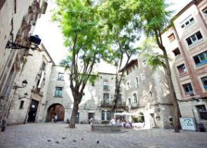 Old Town and Gòtic Quarter in Barcelona: Private Guided Walking Tour