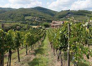 Chianti and Tuscany Countryside Private Wine Tour