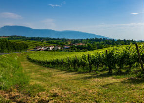 Private Tour to Prosecco with Wine Tasting 